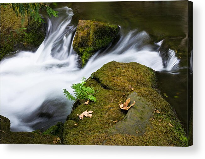 Landscape Acrylic Print featuring the photograph Rushing Water At Whatcom Falls Park by Priya Ghose