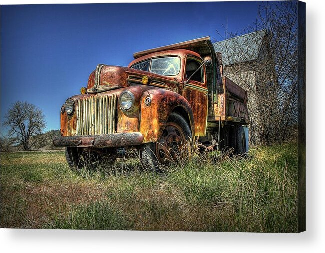 Reed Montana Acrylic Print featuring the photograph Rusty Reed by Ryan Smith