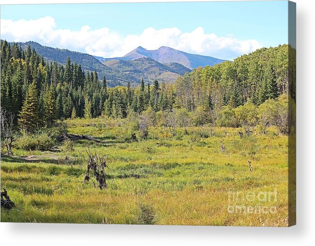 Saddle Mountain Acrylic Print featuring the photograph Saddle Mountain by Ann E Robson