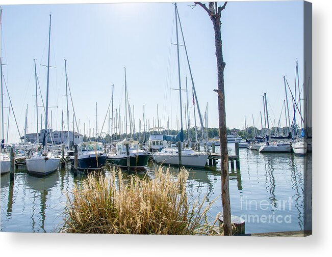 Landscape Acrylic Print featuring the photograph Sailboats on Back Creek by Charles Kraus