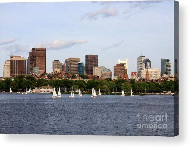 Boston Acrylic Print featuring the photograph Sailing in Boston by Jayne Carney