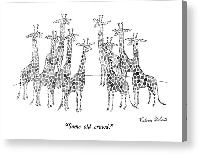 Animals Acrylic Print featuring the drawing Same Old Crowd by Victoria Roberts