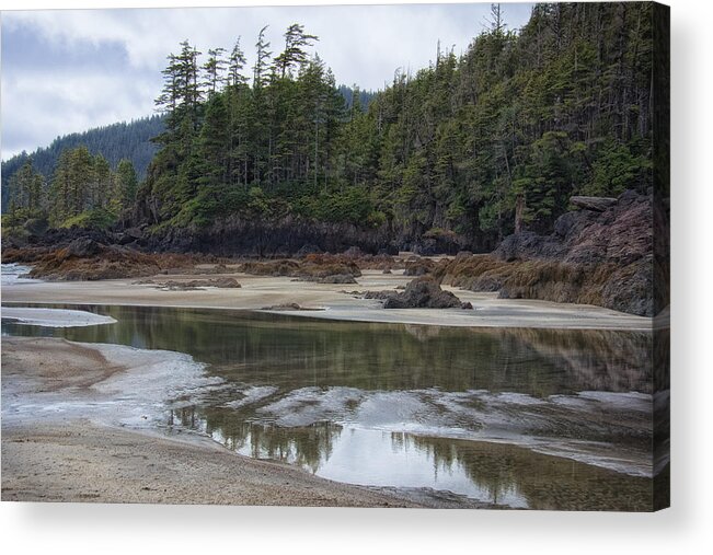 British Columbia Acrylic Print featuring the photograph San Josef Bay Reflections by Carrie Cole