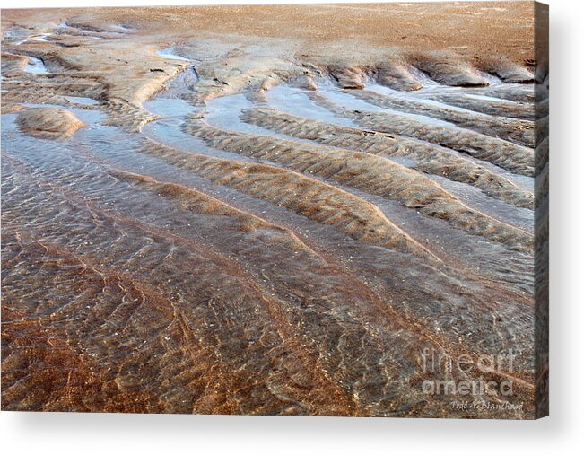 Landscape Acrylic Print featuring the photograph Sand Art No. 2 by Todd Blanchard