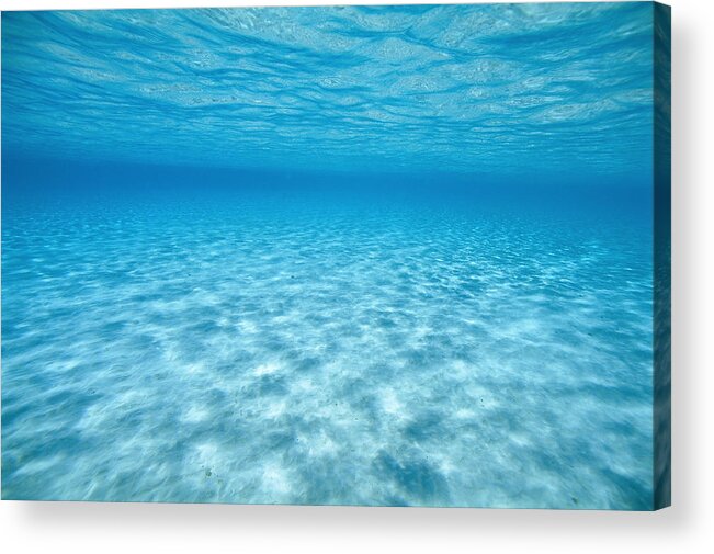 Underwater Acrylic Print featuring the photograph Sand bottom underwater. by Lars Thulin