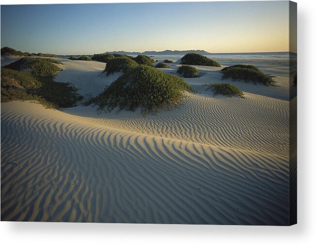 Feb0514 Acrylic Print featuring the photograph Sand Dunes Magdalena Island Baja by Tui De Roy