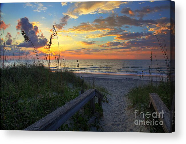Carolina Beach Acrylic Print featuring the photograph Sand dunes on the Seashore at Sunrise - Carolina Beach NC by Wayne Moran