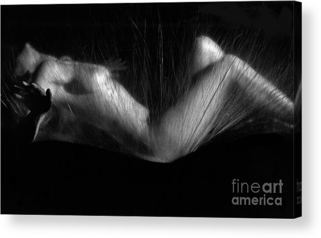 Nude Acrylic Print featuring the photograph Sas 3 by Tony Cordoza