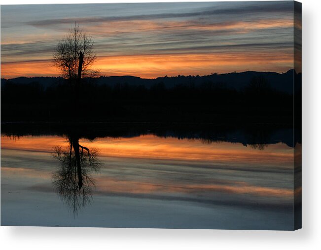 Oregon Acrylic Print featuring the photograph Sauvie Island by Steve Parr