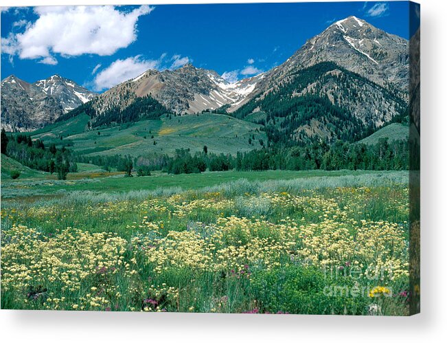 Boulder Mountains Acrylic Print featuring the photograph Sawtooth National Recreation Area, Idaho by William H. Mullins