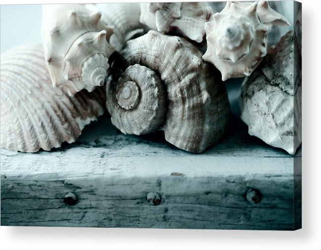 Sea Shells Acrylic Print featuring the photograph Sea Gifts by Bonnie Bruno