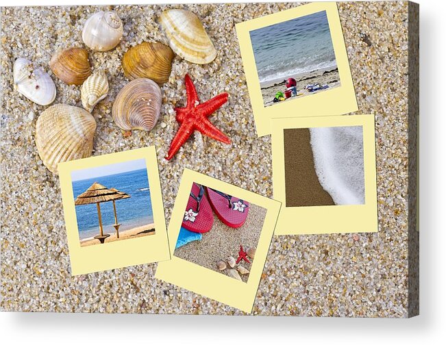 Seashell Acrylic Print featuring the photograph Sea shells by Paulo Goncalves
