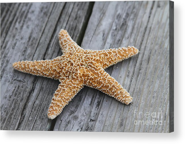 Starfish Acrylic Print featuring the photograph Sea Star on Deck by Cathy Lindsey