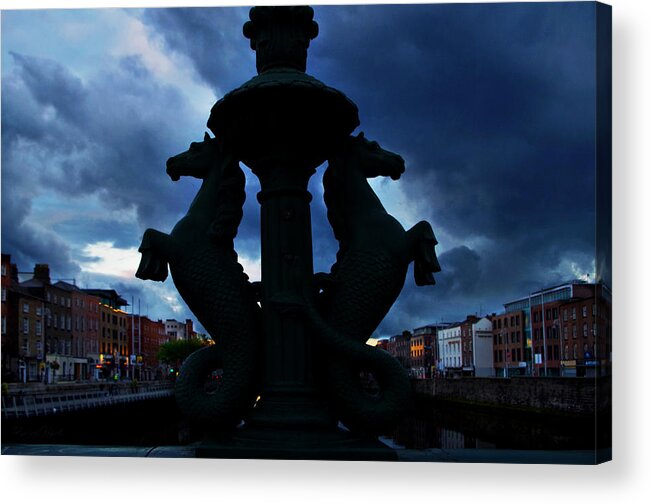 Seahorse Acrylic Print featuring the photograph Seahorses at Dusk by Sharon Popek