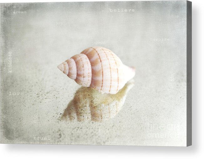 Seashell Acrylic Print featuring the photograph Seashell by Sylvia Cook