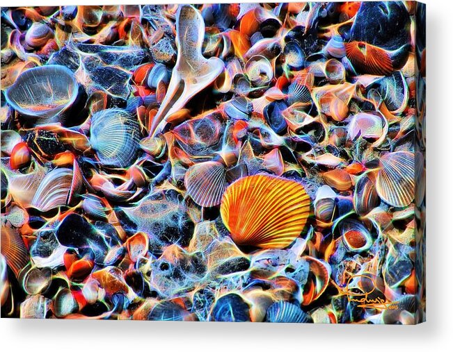 Digital Art Acrylic Print featuring the digital art Seashells at the Seashore by Ludwig Keck