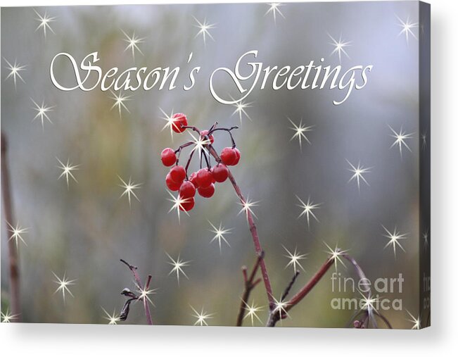 Christmas Cards Acrylic Print featuring the photograph Seasons Greetings Red Berries by Cathy Beharriell