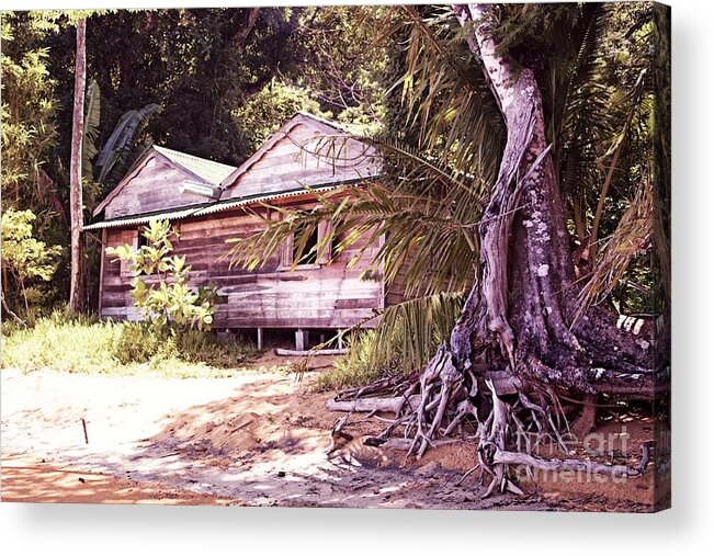 Beach Cabin Acrylic Print featuring the photograph Seclusion by Kate McKenna