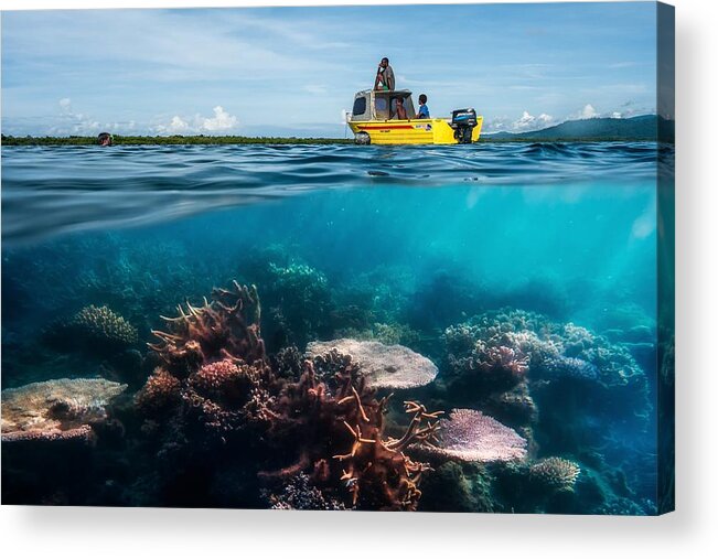Coral Acrylic Print featuring the photograph Second Dive by Pavol Stranak