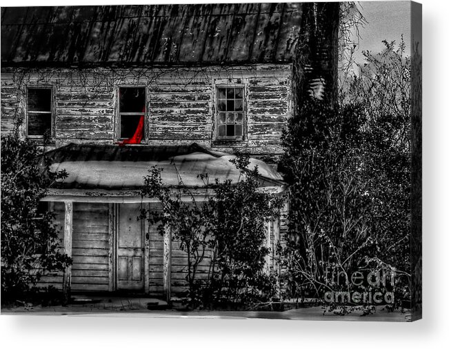 Pungo Acrylic Print featuring the photograph Seeing Red by Brenda Giasson