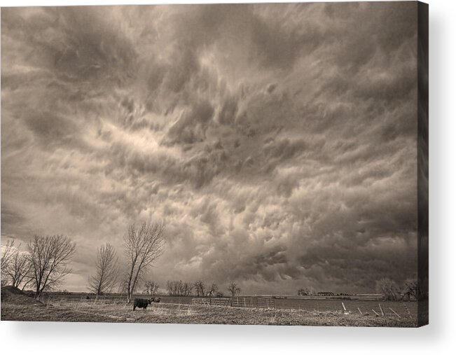Storms Acrylic Print featuring the photograph Sepia Angry Skies by James BO Insogna