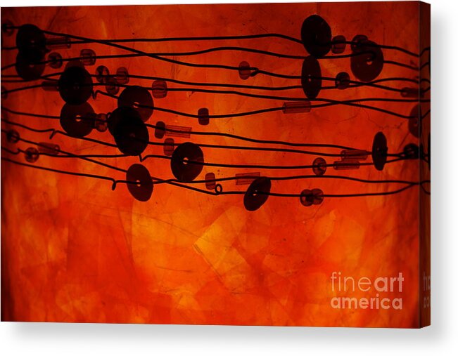 Lamp Acrylic Print featuring the photograph Sequence And Wire by Jacqueline Athmann