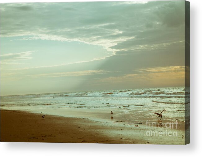 Landscape Acrylic Print featuring the photograph Serenity in the Beach by Iris Greenwell