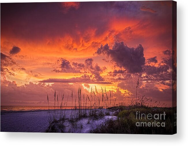 Beach Acrylic Print featuring the photograph Serenity by Marvin Spates