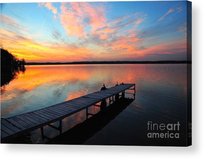 Blue Acrylic Print featuring the photograph Serenity by Terri Gostola