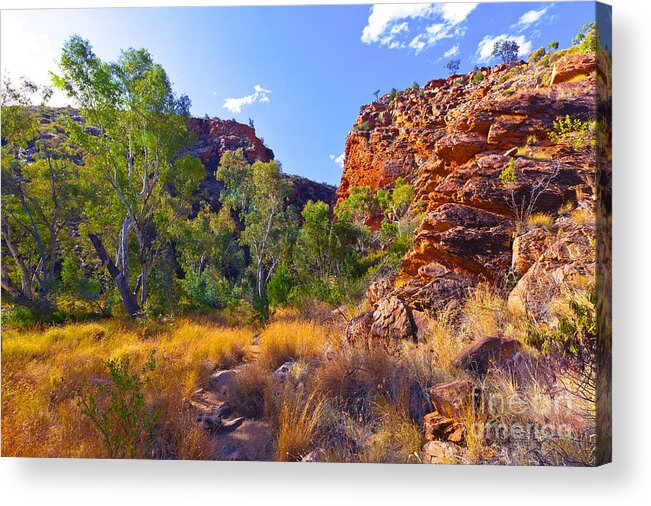 Serpentine Creek Outback Landscape Central Australia Australian Landscapes Gum Trees Acrylic Print featuring the photograph Serpentine Creek by Bill Robinson