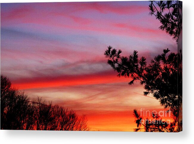 Sun Acrylic Print featuring the photograph Shades of Sunset by Tina M Wenger