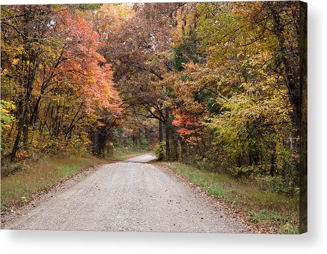 Road Acrylic Print featuring the photograph Shawnee Forest Road by Sandy Keeton