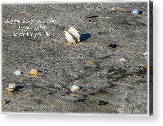 Beach Acrylic Print featuring the photograph Shell In Your Pocket by Cathy Kovarik