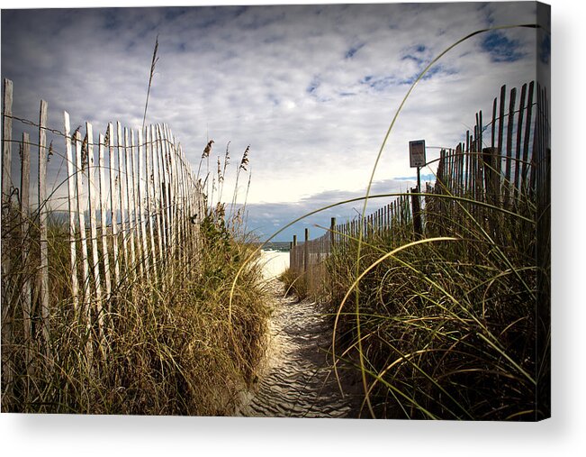 Beach Scene Acrylic Print featuring the photograph Shell Island Beach Access by Phil Mancuso