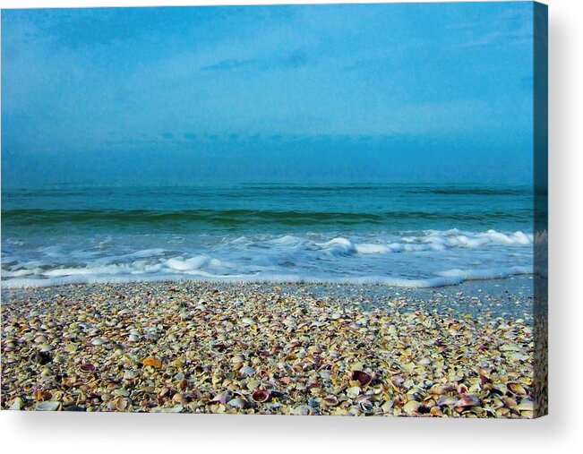 Beach Acrylic Print featuring the photograph Shells at the Shoreline by Steve Ondrus