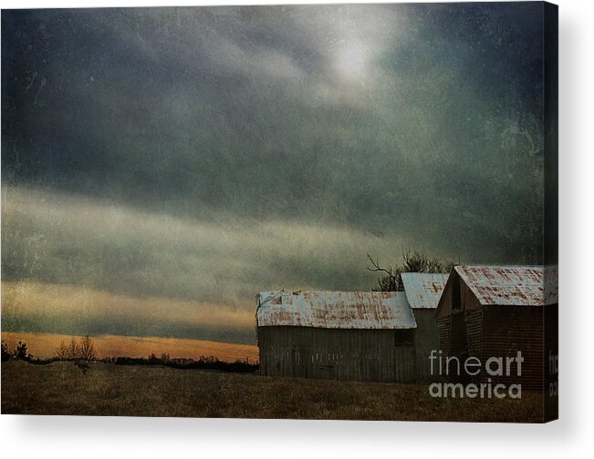 Shelter Acrylic Print featuring the photograph Shelter by Terry Rowe