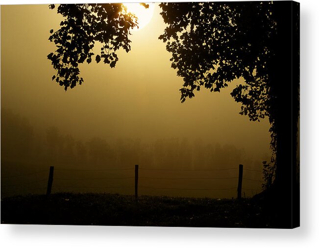 Cades Cove Acrylic Print featuring the photograph Shining Through The Fog by Michael Eingle