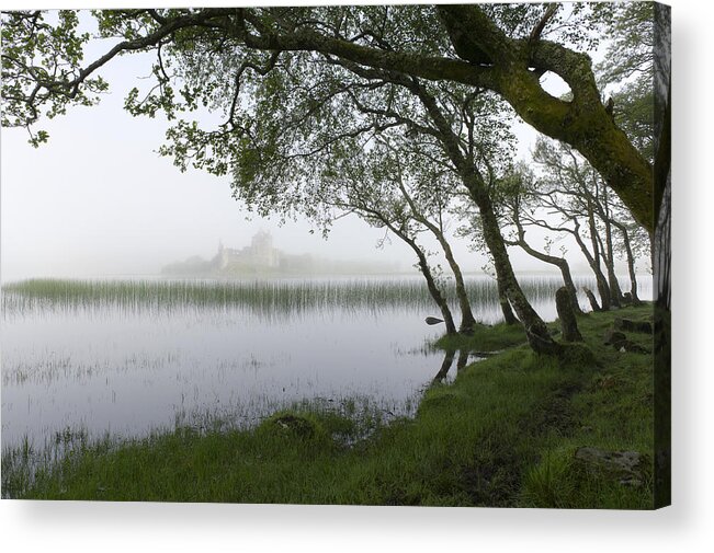 Loch Awe Acrylic Print featuring the photograph Shoreline Loch Awe by Gary Eason