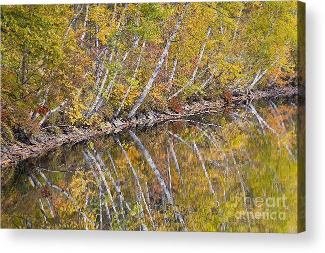 Fall Acrylic Print featuring the photograph Shoreline Reflections by Alan L Graham