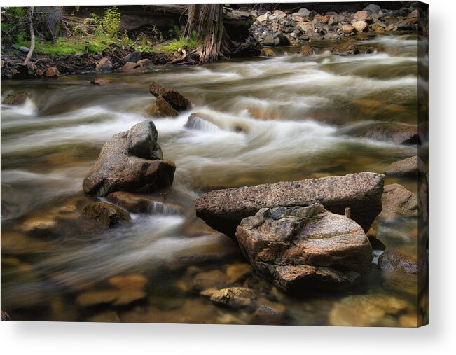 Fintry Provincial Park Acrylic Print featuring the photograph Shorts Creek Dry Stones by Allan Van Gasbeck