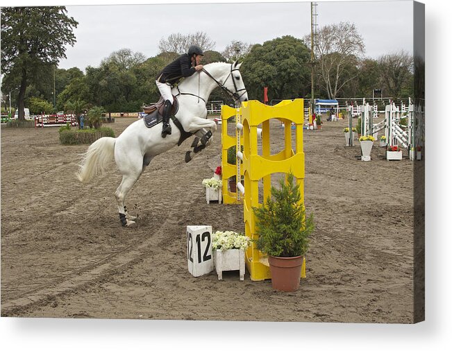 Horse Acrylic Print featuring the photograph Show Jumping in Argentina #2 by Venetia Featherstone-Witty