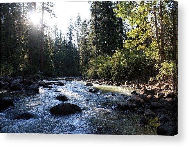 Nature Acrylic Print featuring the photograph Sierra Morning by Daniel Schubarth