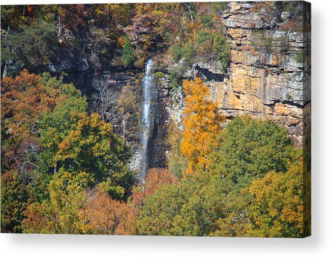 Fall Acrylic Print featuring the photograph Signal Fall by Ryan Moyer