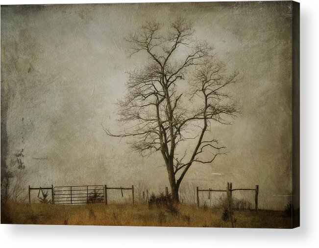 Tree Acrylic Print featuring the photograph Silent Solitude by Kathy Jennings