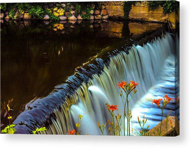 Dam Acrylic Print featuring the photograph Silk and Flowers by James Meyer