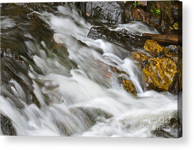 Silver River Michigan Up Acrylic Print featuring the photograph Silver River by Dan Hefle