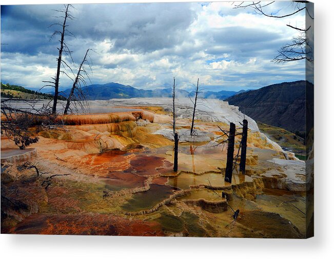 Yellowstone Acrylic Print featuring the photograph Simmering Color by Richard Gehlbach
