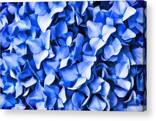 Blue Acrylic Print featuring the photograph Simply Blue by Cathy Kovarik