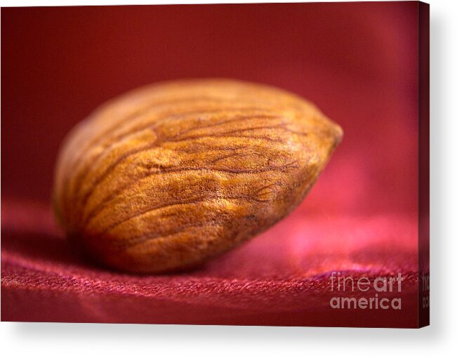 Almond Acrylic Print featuring the photograph Single Almond on Red by Iris Richardson