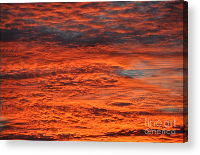Fire Acrylic Print featuring the photograph Sky Fire by Bridgette Gomes